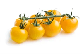 עגבניה שרי צהוב